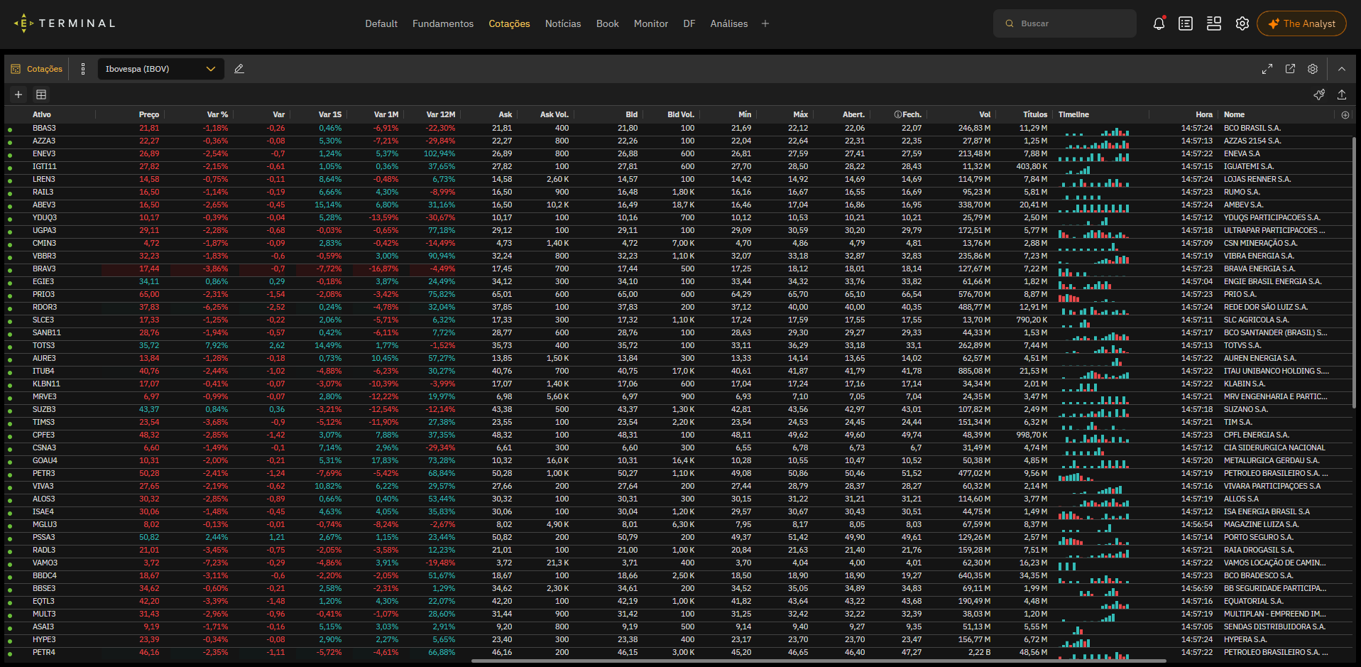 Economatica Terminal, Quotes module